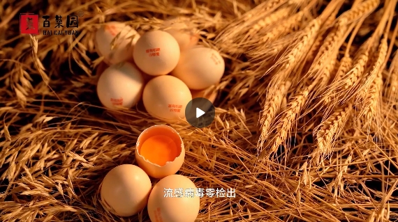 &#75;&#65;&#73;&#89;&#85;&#78;&#65288;&#20013;&#22269;&#22823;&#38470;&#65289;&#20307;&#32946;&#31185;&#25216;&#26377;&#38480;&#20844;&#21496;&#23448;&#32593;